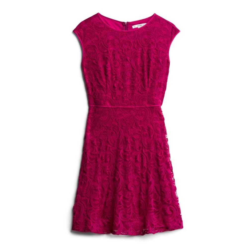 Wisp Burgundy Lace Dress (Stitchfix)